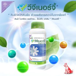 วีจีเนอร์จี้  พลังฟื้นคืนชีวิตให้พืช แข็งแรงได้