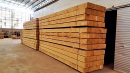 New Zealand Pine beams