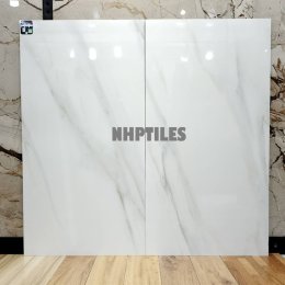  ลายหินอ่อน_60X120_BLD_ADS_MARBLE_542_POL.jpg