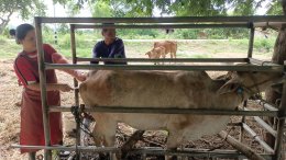 โครงการส่งเสริมการเลี้ยงสัตว์ตามหลักเศรษฐกิจพอเพียง ประจำปี 2567