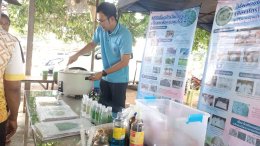 โครงการส่งเสริมและป้องกันศัตรูพืช ประจำปี 2567