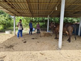 โครงการส่งเสริมและป้องกันโรคระบาดในสัตว์เลี้ยง ประจำปี 2567