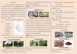 โครงการจัดทำข้อมูลประชาสัมพันธ์แหล่งท่องเที่ยวในตำบลสิงห์