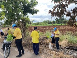 โครงการตำบลสิงห์ร่วมใจปลูกต้นไม้รักษาสิ่งแวดล้อม