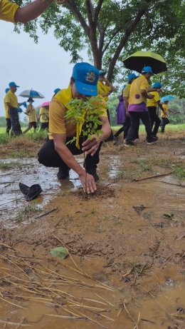 โครงการปกป้องสถาบันของชาติ ป่าชุมชนเฉลิมพระเกียรติ พระบาทสมเด็จพระเจ้าอยู่หัว เนื่องในโอกาสวันเฉลิมพระชนมพรรษา 28 กรกฎาคม 2567 ประจำปี 2567