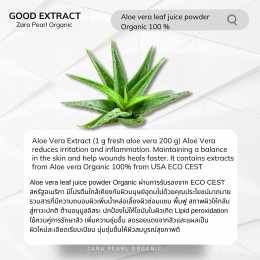 Aloe vera leaf juice powder  Organic 100 %