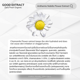 Anthemis Nobilis Flower Extract