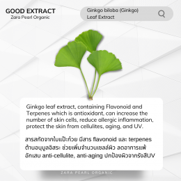 Ginkgo biloba (Ginkgo)  Leaf Extract