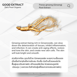 Panax ginseng (Ginseng)  Root Extract