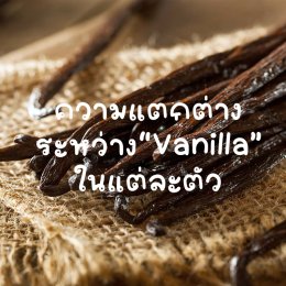 ความแตกต่างระหว่าง "Vanilla" ในแต่ละตัว