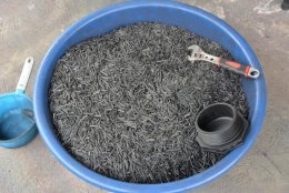 ไผ่ แหล่งผลิตเชื้อเพลิงชั้นดี ใช้ทดแทนก๊าซ LPG ลดรายจ่าย ลดการนำเข้าพลังงาน