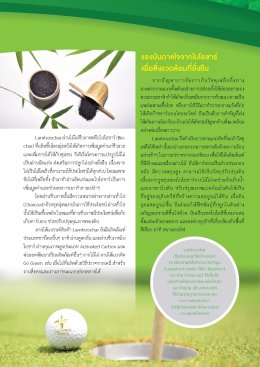 Biochar นวัตกรรมกักเก็บคาร์บอนที่น่าจับตามอง