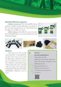 Biochar นวัตกรรมกักเก็บคาร์บอนที่น่าจับตามอง