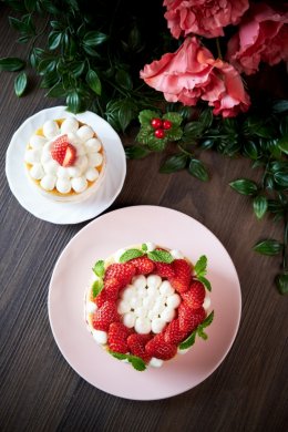 YOGURT STRAWBERRY SHORTCAKE 