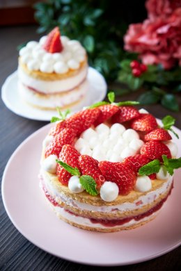 YOGURT STRAWBERRY SHORTCAKE 