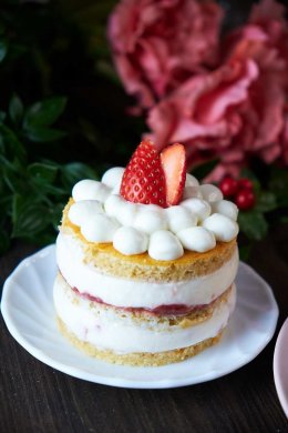 YOGURT STRAWBERRY SHORTCAKE 