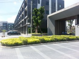 H-CAPE BIZ SECTOR