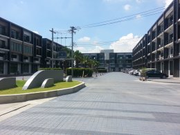 H-CAPE BIZ SECTOR