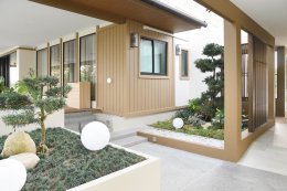 จากฝนตกหนาวเหน็บ... สู่แสงแดดเมืองไทย: ทำไมชาวอังกฤษถึงเลือกใช้ชีวิตวัยเกษียณที่นี่?