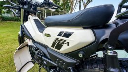 YAMAHA PG-1 SPECIAL EDITION OUTDOOR FASHION
