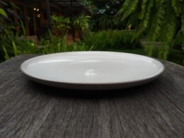 จาน (Plate)