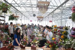 AGA Flower Show 2024 - Fun Garden 