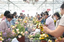 AGA Flower Show 2024 - Fun Garden 