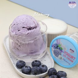 เมนูใหม่! BUDS Yogurt Ice Cream กับ 4 รสชาติความเฟรชเกินห้ามใจ