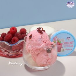เมนูใหม่! BUDS Yogurt Ice Cream กับ 4 รสชาติความเฟรชเกินห้ามใจ