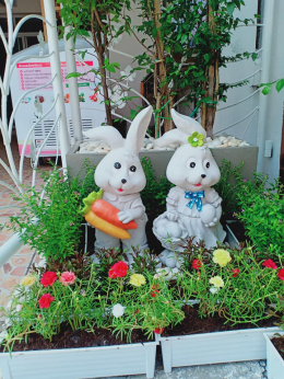 Dayicecream #0032 สาขาที่21 ร้าน THE BUNNY HOME