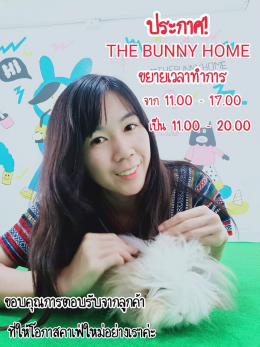 Dayicecream #0032 สาขาที่21 ร้าน THE BUNNY HOME