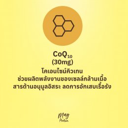 ใน MayProtein มีอะไรบ้าง