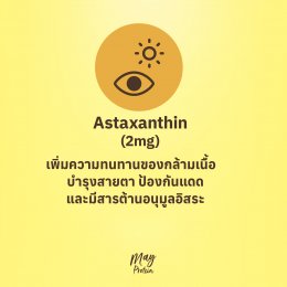 ใน MayProtein มีอะไรบ้าง