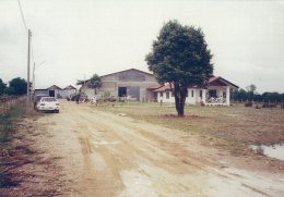 Year 1994