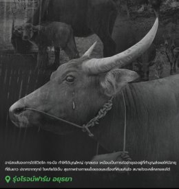 HFC, supporting The operations of Royal Cattle Buffalo Bank For Farmers.