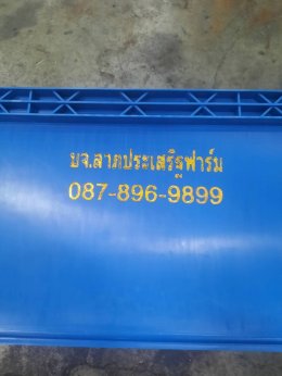 ผลงาน Hot Stamp