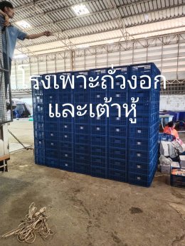 ผลงานของเรา