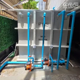mbrซีตัส