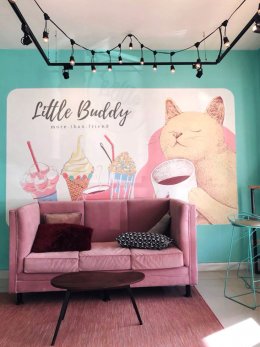 55 IM180702 Buddy Cafe คาเฟ่แมว - ตกแต่งร้าน