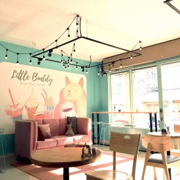 55 IM180702 Buddy Cafe คาเฟ่แมว - ตกแต่งร้าน