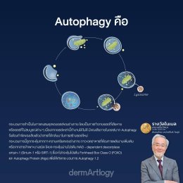 Reset ผิวระดับเซลล์! เจาะลึก 'Autophagy' ความลับรางวัลโนเบลที่ช่วย 'รีไซเคิลเซลล์เก่า' ให้หน้าเด็กกว่าเดิม