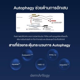 Reset ผิวระดับเซลล์! เจาะลึก 'Autophagy' ความลับรางวัลโนเบลที่ช่วย 'รีไซเคิลเซลล์เก่า' ให้หน้าเด็กกว่าเดิม
