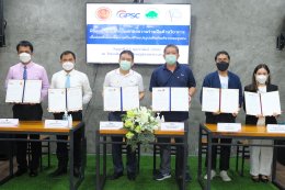 โกลบอล เพาเวอร์ ซินเนอร์ยี่ จำกัด (มหาชน)