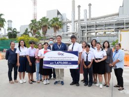 โกลบอล เพาเวอร์ ซินเนอร์ยี่ จำกัด (มหาชน)