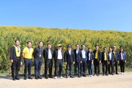 การไฟฟ้าฝ่ายผลิตแห่งประเทศไทย