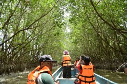 เชฟรอนประเทศไทยสำรวจและผลิต จำกัด