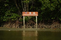 เชฟรอนประเทศไทยสำรวจและผลิต จำกัด