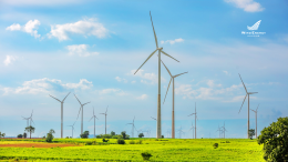 บริษัท วินด์ เอนเนอร์ยี่ โฮลดิ้ง จำกัด