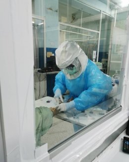 พีทีที โกลบอล เคมิคอล จำกัด (มหาชน)