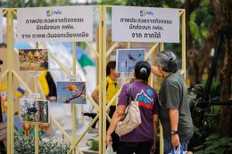 การไฟฟ้าฝ่ายผลิตแห่งประเทศไทย